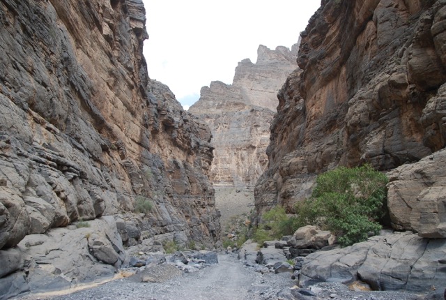 Nakhal Fort / Wadi Bani Awf Tour